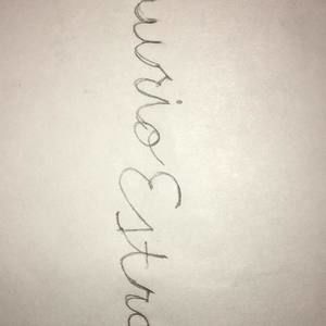 Meet your Posher, Laurio